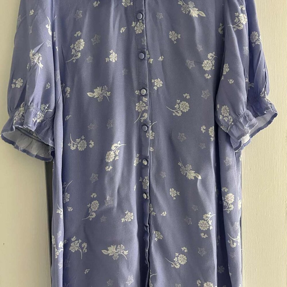 Aritzia Wilfred Blue Floral Dress